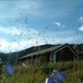 Yksendalsbu