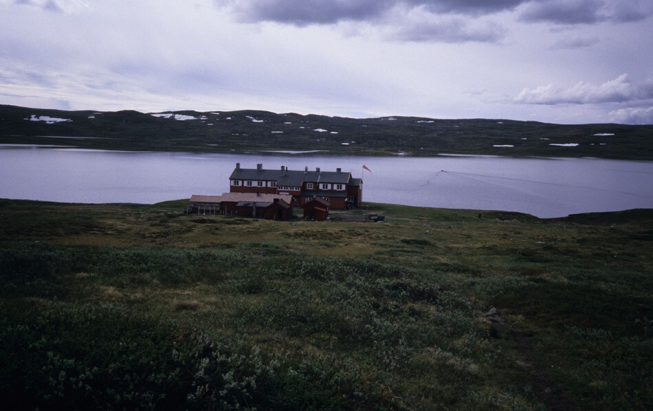 Rauhelleren