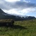 Uthuset på Kljåen.