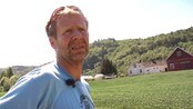 Bonde ber om nedbør - Bonde må kanskje slakte dyr på grunn av lite nedbør.
