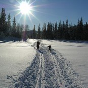 Skitur i solen (Foto: Bildehagen)