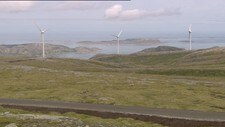 Reinsdyr og vindmøller  (Foto: Eivind Aabakken/NRK)