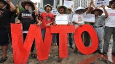 WTO (Foto: BAY ISMOYO/AFP) WTO (Foto: BAY ISMOYO/AFP)