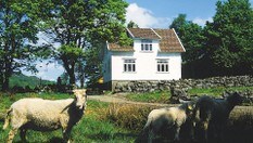 Gaudland