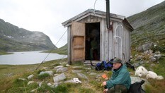 Nøstebu