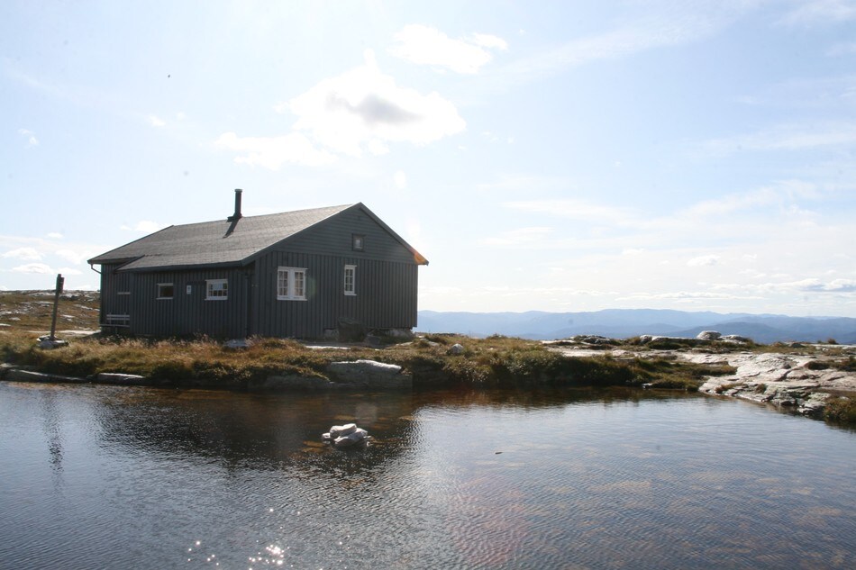 2009