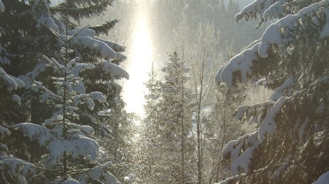 Snø fra klar himmel (Foto: Thor Erik Nordeng)