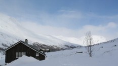 Kljåen