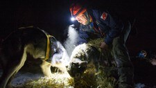 Lars Monsen under Finnmarksløpet (Foto: Knut-Sverre Horn)