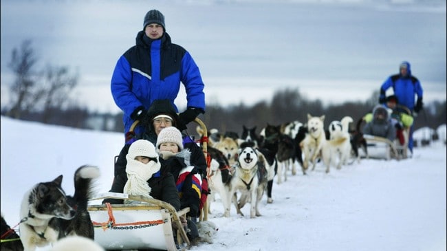Hundesledekjøring på Kvaløya (Foto: Heiko Junge, Scanpix) Hundesledekjøring på Kvaløya (Foto: Heiko Junge, Scanpix)