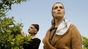 Film: Sitrontreet