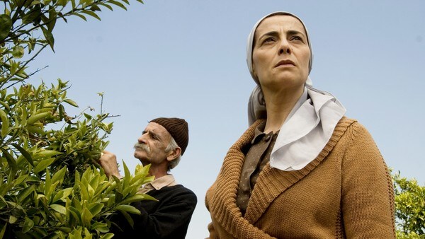 Film: Sitrontreet