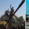 En opprørssoldat har overtatte en stridsvogn i Aleppo i juli. I april kastet de stein på dem i Deraa. En opprørssoldat har overtatte en stridsvogn i Aleppo i juli. I april kastet de stein på dem i Deraa.