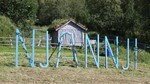 Markomeannu 2010