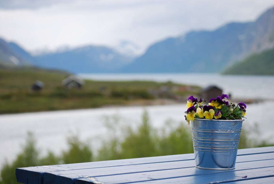 Utsikt fra Gjendesheim utover Gjende.