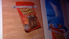 Bamsemums (Foto: NRK)