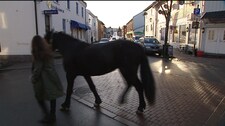 Video Her er det nye Ylvingen (Foto: Nyhetsspiller)