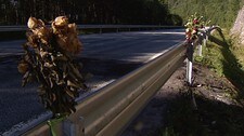 Blomster i veikanten i Brusdalen (Foto: Øyvind Berge Sæbjørnsen/NRK) Blomster i veikanten i Brusdalen (Foto: Øyvind Berge Sæbjørnsen/NRK)