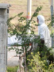 Lik bæres bort etter funn av 49 lik i Mexico (Foto: STRINGER/MEXICO/Reuters) Lik bæres bort etter funn av 49 lik i Mexico (Foto: STRINGER/MEXICO/Reuters)