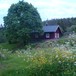 sommer