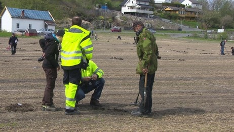 Utgravningsarbeid ved Gokstad. (Foto: Øystein Økter/NRK) Utgravningsarbeid ved Gokstad. (Foto: Øystein Økter/NRK)
