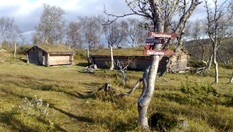 Ramssjøen