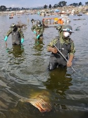 Det japanske forsvaret leter etter lik i sjøen utenfor Sendai. (Foto: ROSLAN RAHMAN/Afp) Det japanske forsvaret leter etter lik i sjøen utenfor Sendai. (Foto: ROSLAN RAHMAN/Afp)