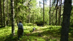 På tur til krigsminnesmerket ved Galgumseterstormyra.