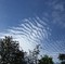 Makrellskyer opptrer som tynne, hvite flak eller lag høyt oppe på himmelen. Cirrocumulus består stort sett av iskrystaller.