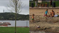 Været (Foto: Rebecca Trondsen/Håkon Eliassen/NRK)