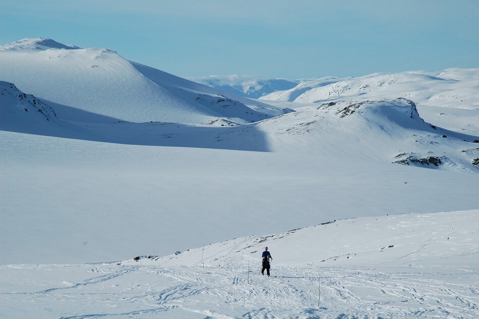 Opp mot Hardangerjøkulen