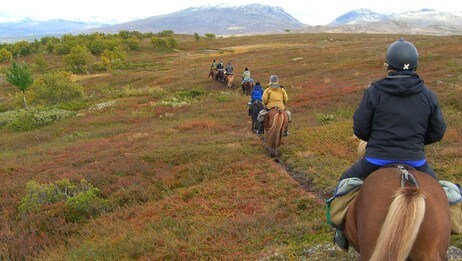 Ridefølge (Foto: NRK) Ridefølge (Foto: NRK)