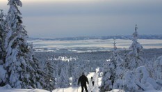 Utsikt og utforløype fra Appelsinhaugen