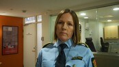 Politiadvokat - 31-åring pågrepet etter biltyveri.
