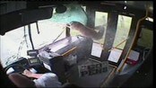 Her kommer rådyret gjennom frontruta - Et rådyr dundret gjennom frontruta på en buss i Johnstown, Pennsylvania. Etter mye strev kom den seg ut av bussen - tilsynelatende uskadd.
