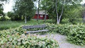 Hagen i Mårbacka - Selma Lagerlöfs hage i Sunne i Sverige. Filmet med mobilkamera av Unni Lindell.(i Juni 2013)
