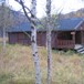 Trygvebu