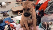 Tornado USA mai 1999