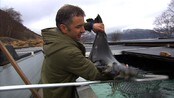 Satsar på landbasert kveiteoppdrett - Høyangerbedrifta Sogn Aqua er ein av få kveitoppdrettarar i Noreg, og den einaste som driv landbasert oppdrett.
No satsar dei 60 millionar kroner på eigen teknologi, og håper det kan skape meir liv og arbeidsplassar langs Sognefjorden.