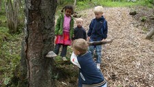 Leker i skogen (Foto: Kamilla Pedersen/NRK)