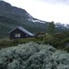 Kljåen 25.juli 2012