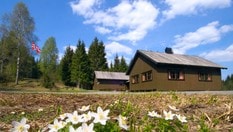 Lauvesetra