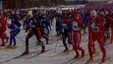 Birken 2010