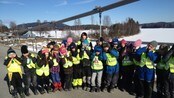 Skrik-nettversjon-150313 - Skrik, tegning, Edvard Munch, leven, voldsomt leven, elevene, elever, Munch, tema, kunst, håndverk, skrik-bilder, prosjekt, tidenes skrik, bru, bro, Glomma