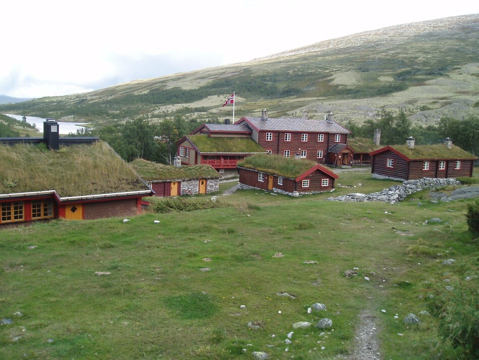 Bjørnhollia