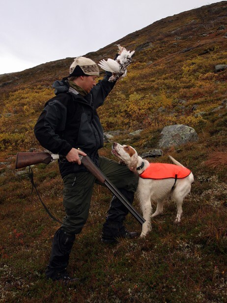 Rypejeger (Foto: Jim Tovås Kristensen)