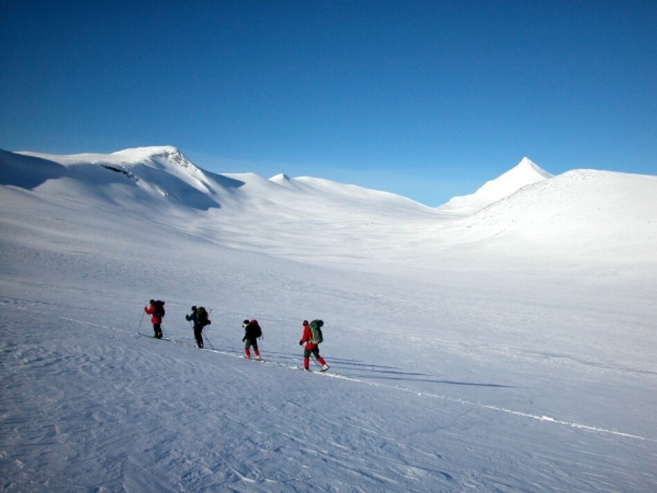 I Saltfjellet