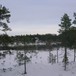Fjellhov vinterstid