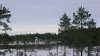 Fjellhov vinterstid