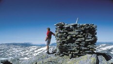 Snønuten (1606 moh) er et populært dagsturmål fra hytta